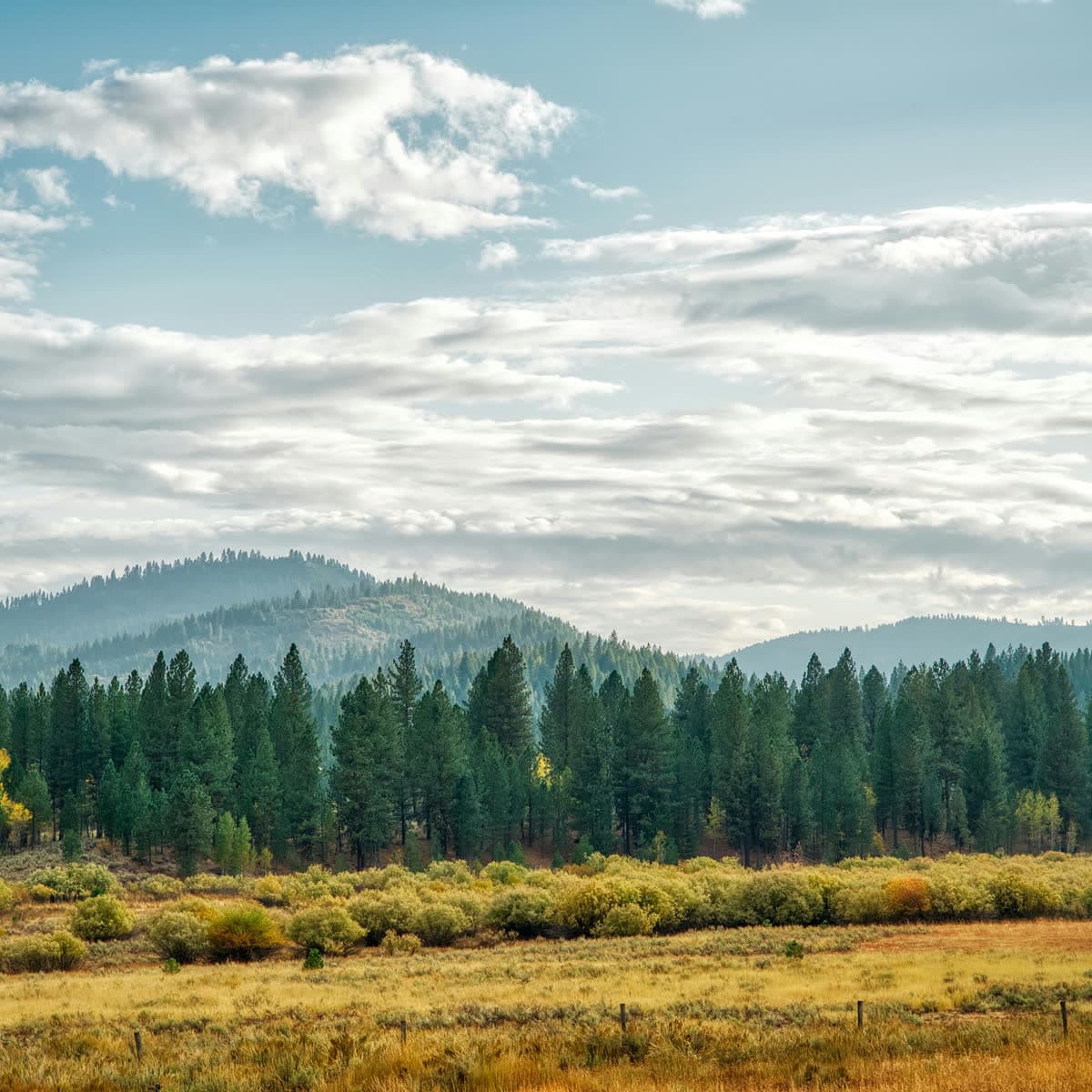 Idaho landscape near the water